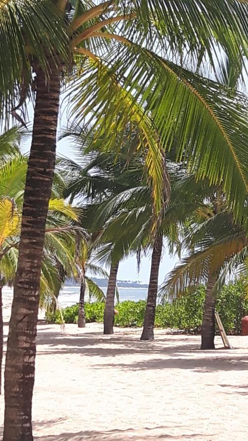 Coconut Island Villa Tangalle Exterior photo